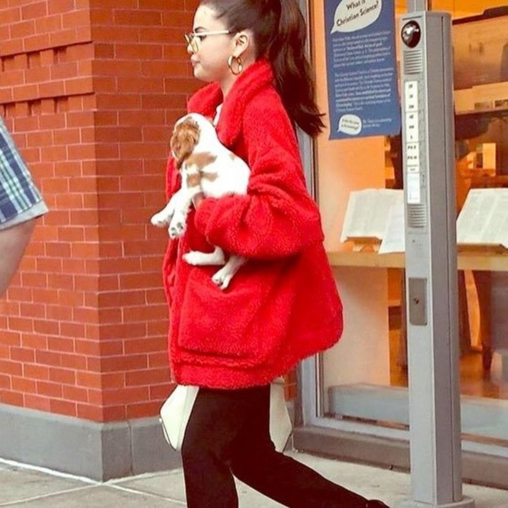 SO SOFT☁️Cuddle Creature Teddy Coat - Picture 4 of 8